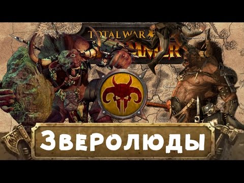 Око терры вархаммер