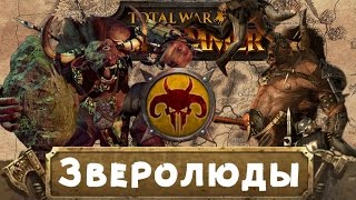 Зверолюды (знакомимся с Вархаммер) | Total War: Warhammer