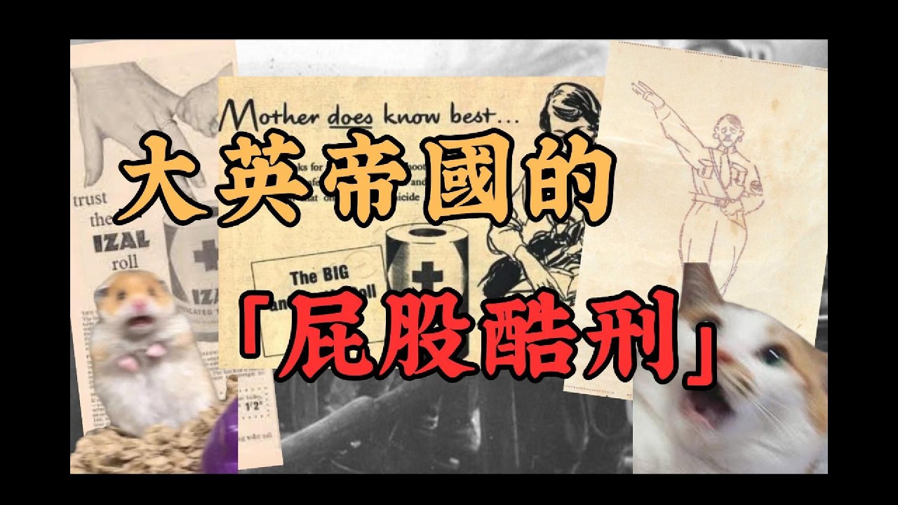 衛生紙竟然曾是反納粹宣傳的利器？！硬得像紙板，滑得像鏡子！統治英國半世紀的「政府財產」究竟有多難用？揭秘「防水」的傳奇衛生紙！