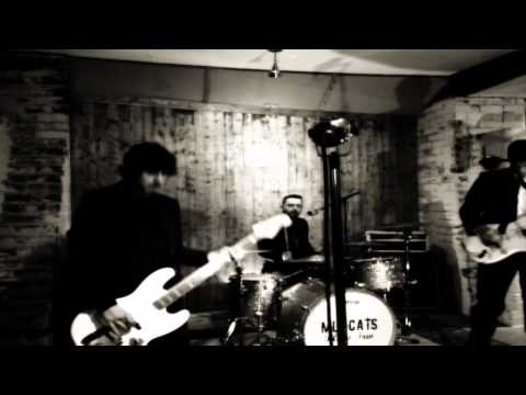 Mudcats Blues Trio - Cruel Hard World (New Single)