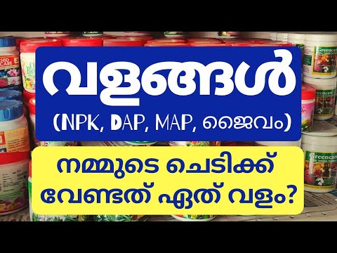 നമ്മുടെ ചെടികൾക്ക് ശരിയായ വളം എങ്ങനെ തിരഞ്ഞെടുക്കാം (ജൈവവളം/രാസവളം) What is NPK,DAP, MAP (Malayalam)