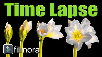 Time Lapse Filmora 9 Tutorial