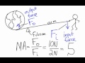 Simple Machines and Their Role in Work and Efficiency
