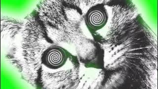 We Butter The Bread With Butter - Ich mach was mit Medien | 