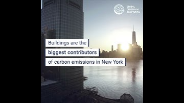 Green roofs improve urban environment