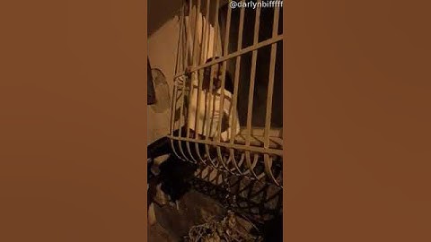 Door de tralies van een raam wurmen || ViralHog