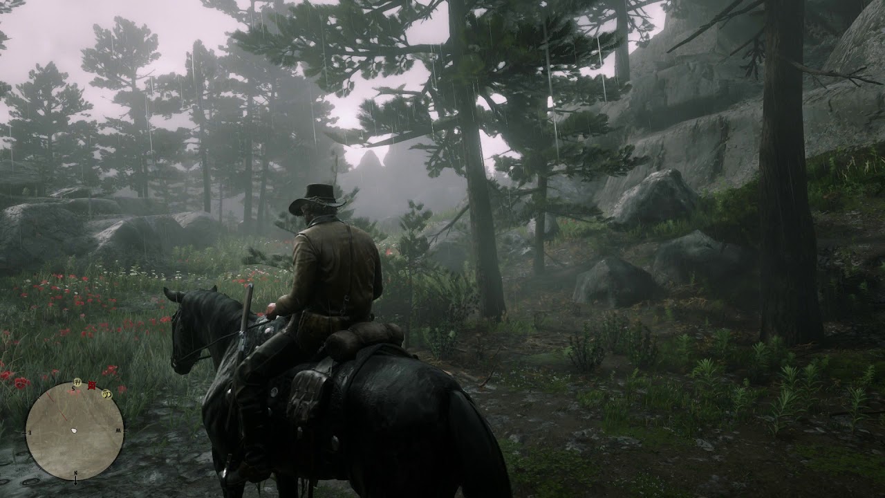 Red Dead Redemption 2 - Compass, Expanded, Regular & Off Map In-Game Gameplay Options (2018)