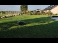 Robot koszący Stalco RPM 650 w akcji