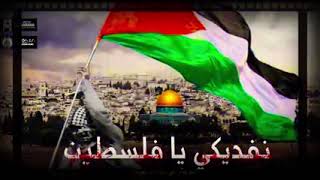 مهرجان نفديكى يا فلسطين