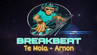 Yang Kalian Cari Guyyhh || DJ Breakbeat Te Mola - Arnon