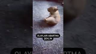 Öyle Ölmem Füze At