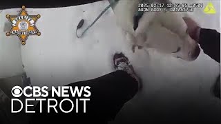 Michigan deputy saves dog chained outside of house that caught fire