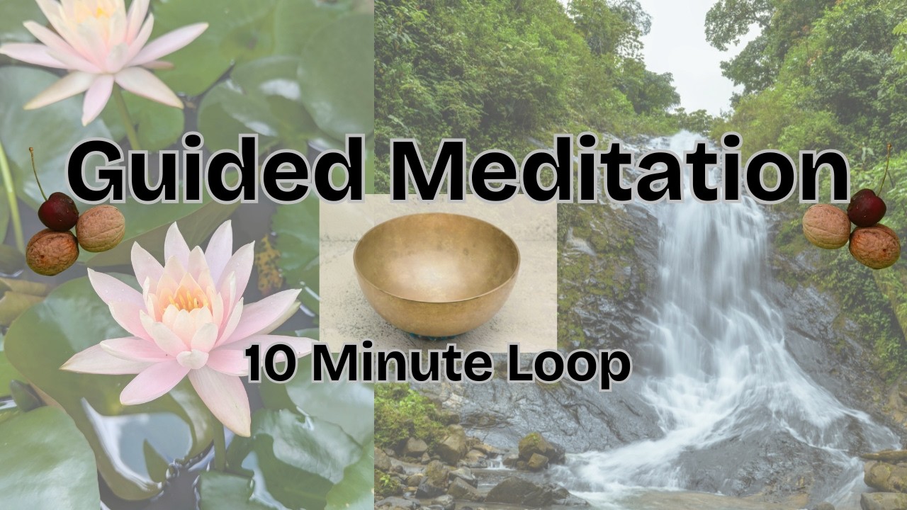 Guided Meditation Loop | 5 min Lotus Flower &  5 min Cleansing Waterfall Sounds 🧘✨