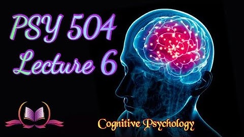 PSY 504 || Lecture 6 |  Visual Sensory Memory | Cognitive Psychology | Short Lectures | VU Lectures