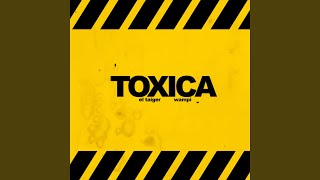 Смотреть клип Toxica (Remix)