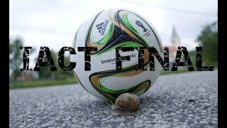 Monrep | IACT 2017 - FINAL (3.Place)