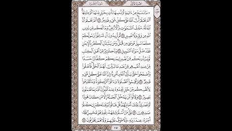 القرآن الكريم بصوت الشيخ سعد الغامدى صفحات صفحة رقم ( 17)