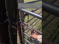 Clever Metal Fabrication Design For Reliable Farm Fence Gates