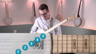 Beginning 5-String Banjo - Pt. 8 - Intro To Rolls
