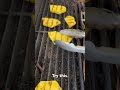 Grilled pineapple is its own dessert