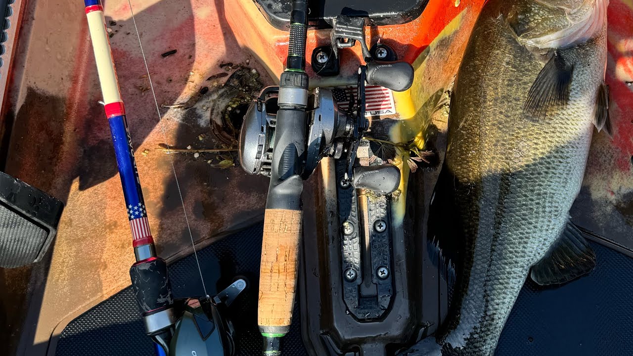 SUMMER BASS FISHING