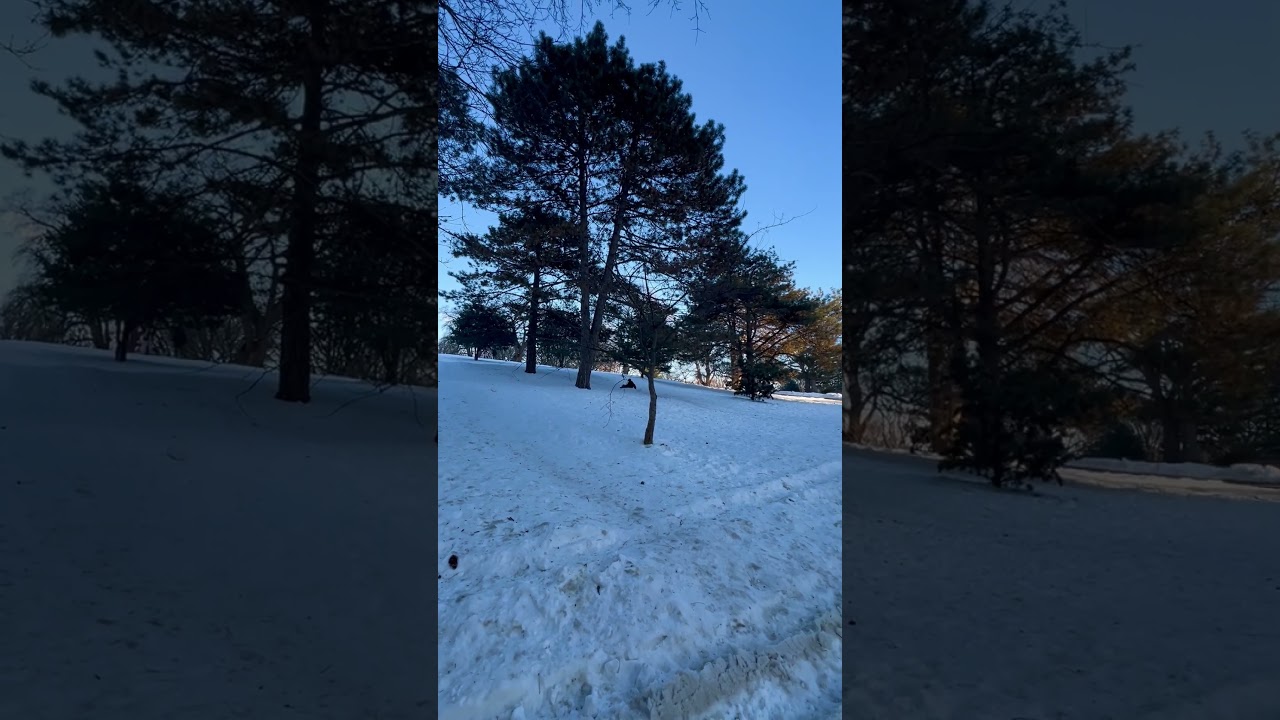 Sliding on ice is really a fun thing during winter. Fort Greene Park,Brooklyn,New York. 