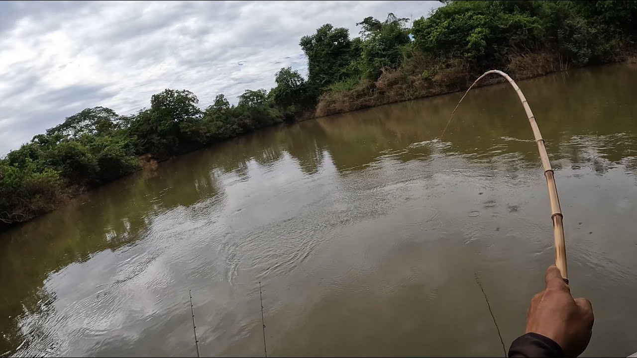 OS BRUTOS! APARECEREM OS GRANDES EXEMPLARES NA CEVA! Pescaria de piai, piapara, pacu e matrinxã