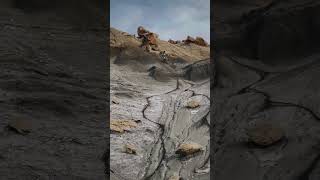 Download Lagu Title Athlete Ryan McNulty Loves Brown Pow MP3