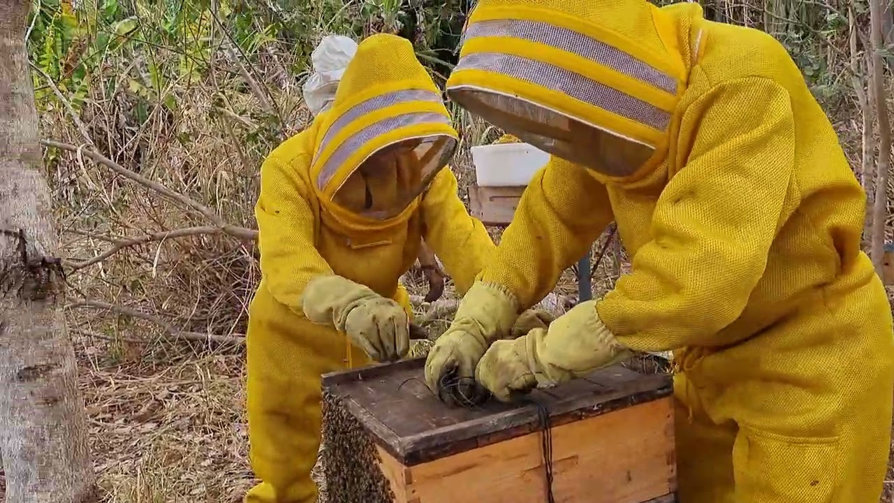 Trabalho gratificante (Serra baixo)