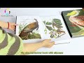 Customize big size hardcover book with slipcase