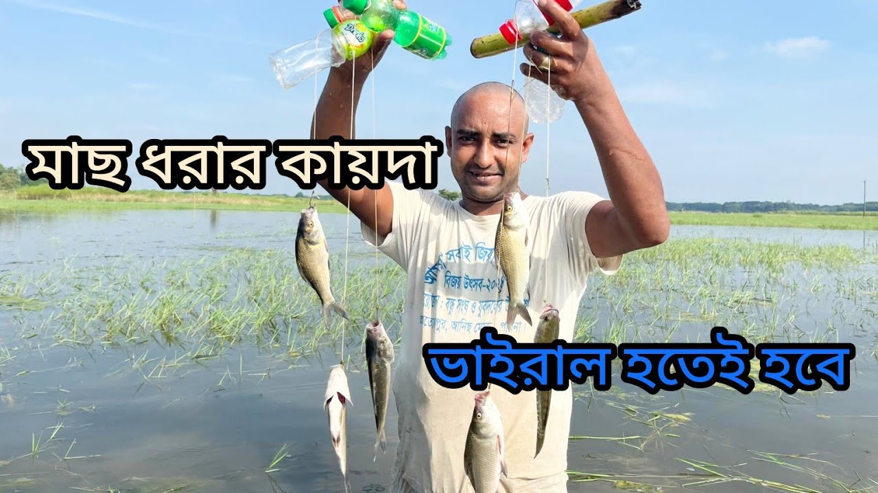 গ্রামের দেশি মাছ ধরার কায়দা ভাইরাল হতেই হবে Amaging Fising Chatching ...