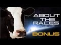 About The Races: Space Cows