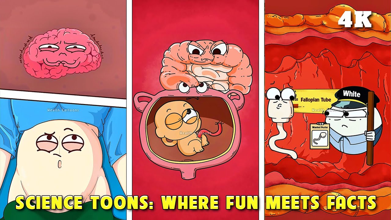 Уморительные мультфильмы о здоровье: беременность и биология на пальцах! (Часть 1) 