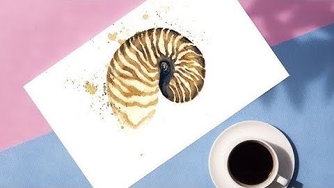 how to paint a nautilus shell in watercolor - coffee instead of watercolor