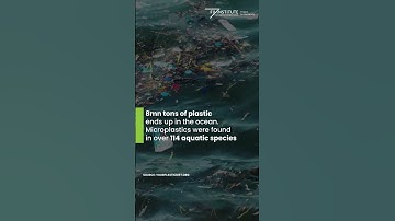 How are plants filtering #microplastics from #water? 💧