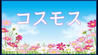 『コスモス』移調聴唱練習用(ヤマハJ専オーディション対策)【非公式】