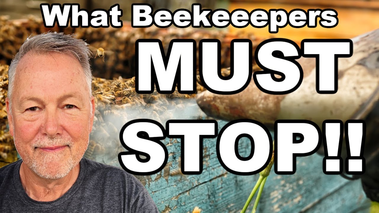Beekeeping Stuff To STOP DOING NOW!! - YouTube