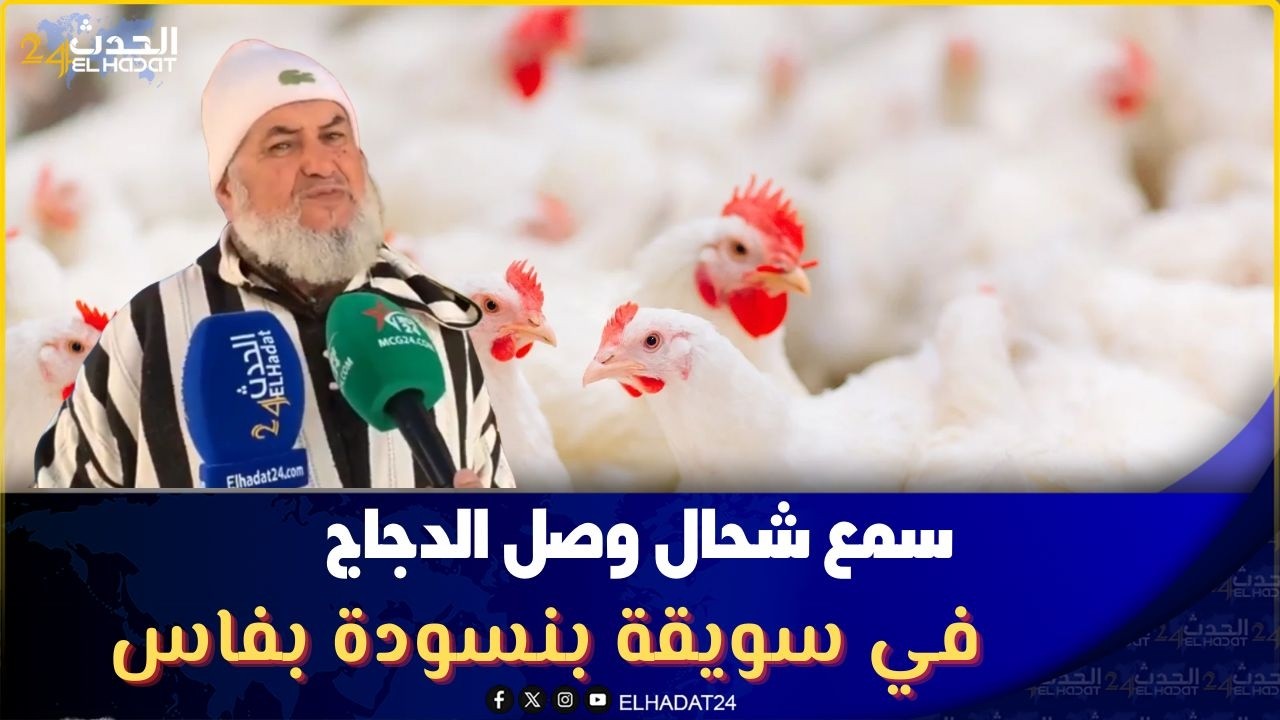 سمع شحال وصل الدجاج في سويقة بنسودة بفاس