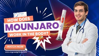 How Mounjaro Works | Mounjaro (Tirzepatide) Explained | Ongo Weight Loss USA