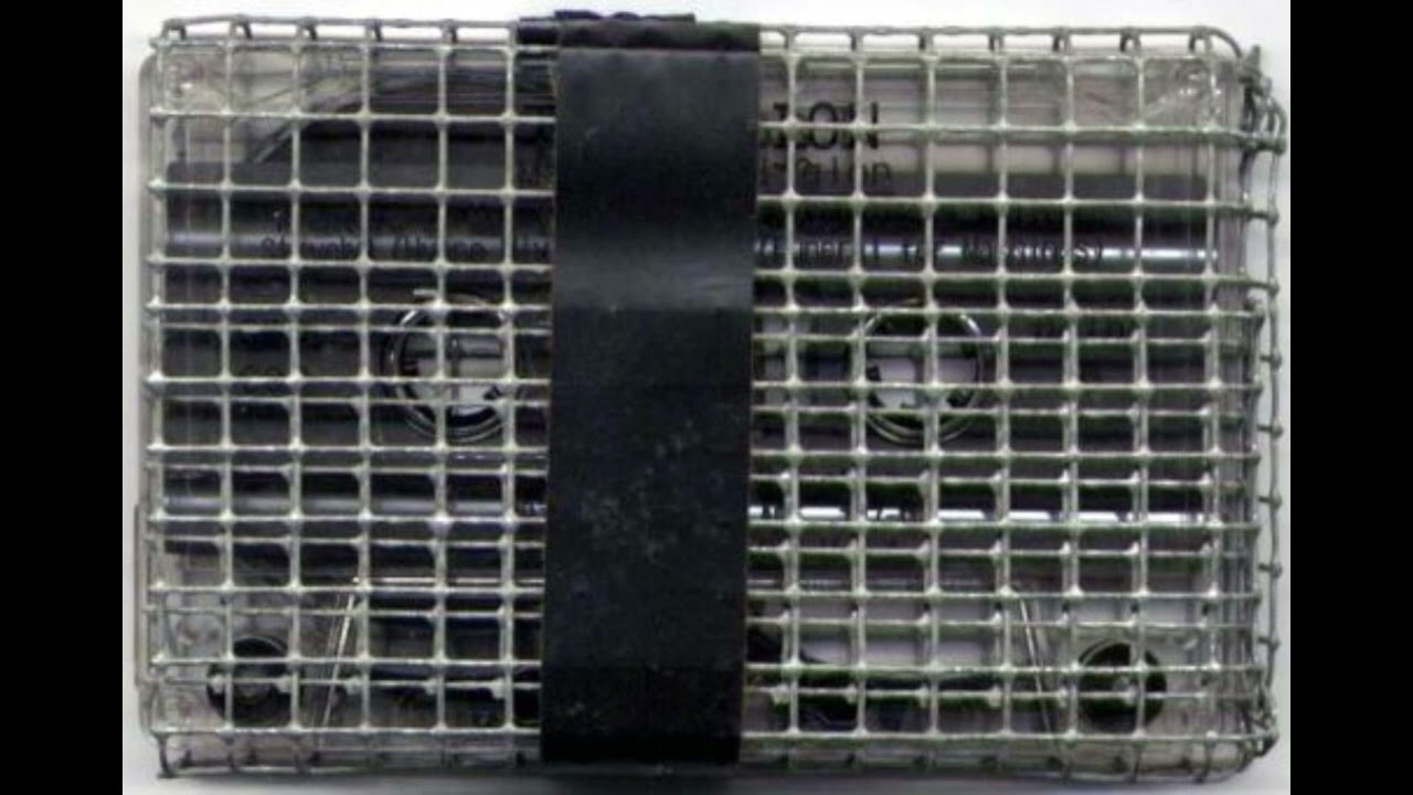 Factor 42 - Teknition – Original Sin  Machine Religion (by Adrianoebm)