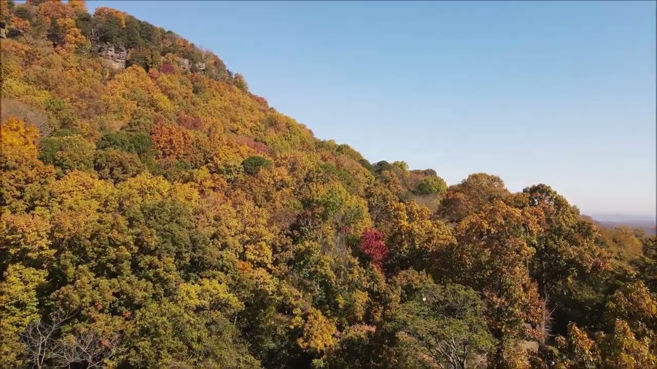 Fall Colors  Chattanooga Tennessee  11-12-2021