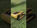 Mowing the lawn