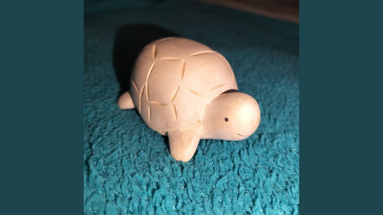 Watch Dancing turtle on YouTube Watch Dancing turtle on YouTube