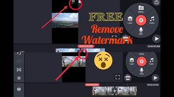 How to remove watermark in Kinemaster in Tamil |For free|