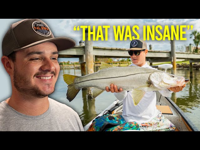 Swimbait - NLBN - Mini Mullet – The Fishermans Hut