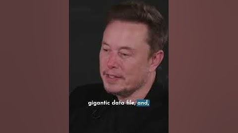 Elon Musk