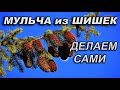 ЛУЧШАЯ МУЛЬЧА ИЗ ДРОБЛЕНЫХ ШИШЕК. ДЛЯ ГОЛУБИКИ И ХВОЙНЫХ. СВОИМИ РУКАМИ.