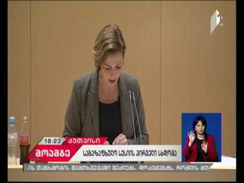 საქართველოს პარლამენტში პრეზიდენტის მოტივირებულ შენიშვნებზე მსჯელობენ