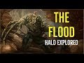 The Flood (Halo Explored)