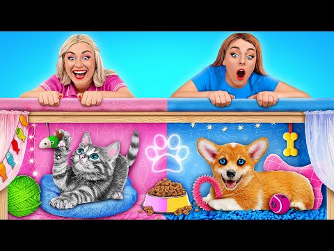 Строим секретные домики для животных с Multi DO Challenge